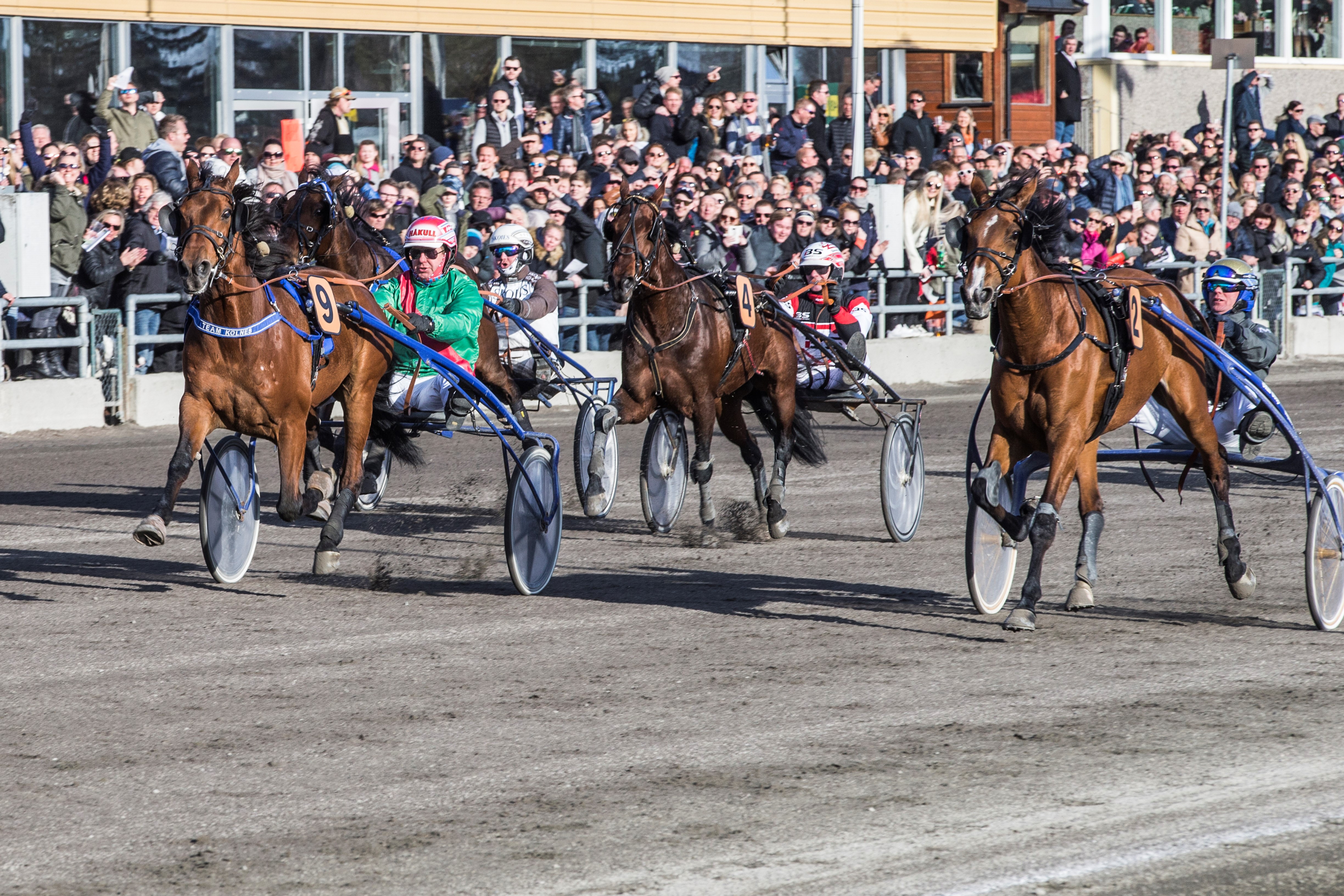 Vi lar 2018-utgavens oppløp av Klosterskogen Grand Prix få pryde forsiden denne gang. Dette er travsport som vi liker å se den - gode hester som kjemper til målstreken med et entusiastisk publikum på plass. Måtte 2022 gi oss dette ! (Foto:Hesteguiden.com)