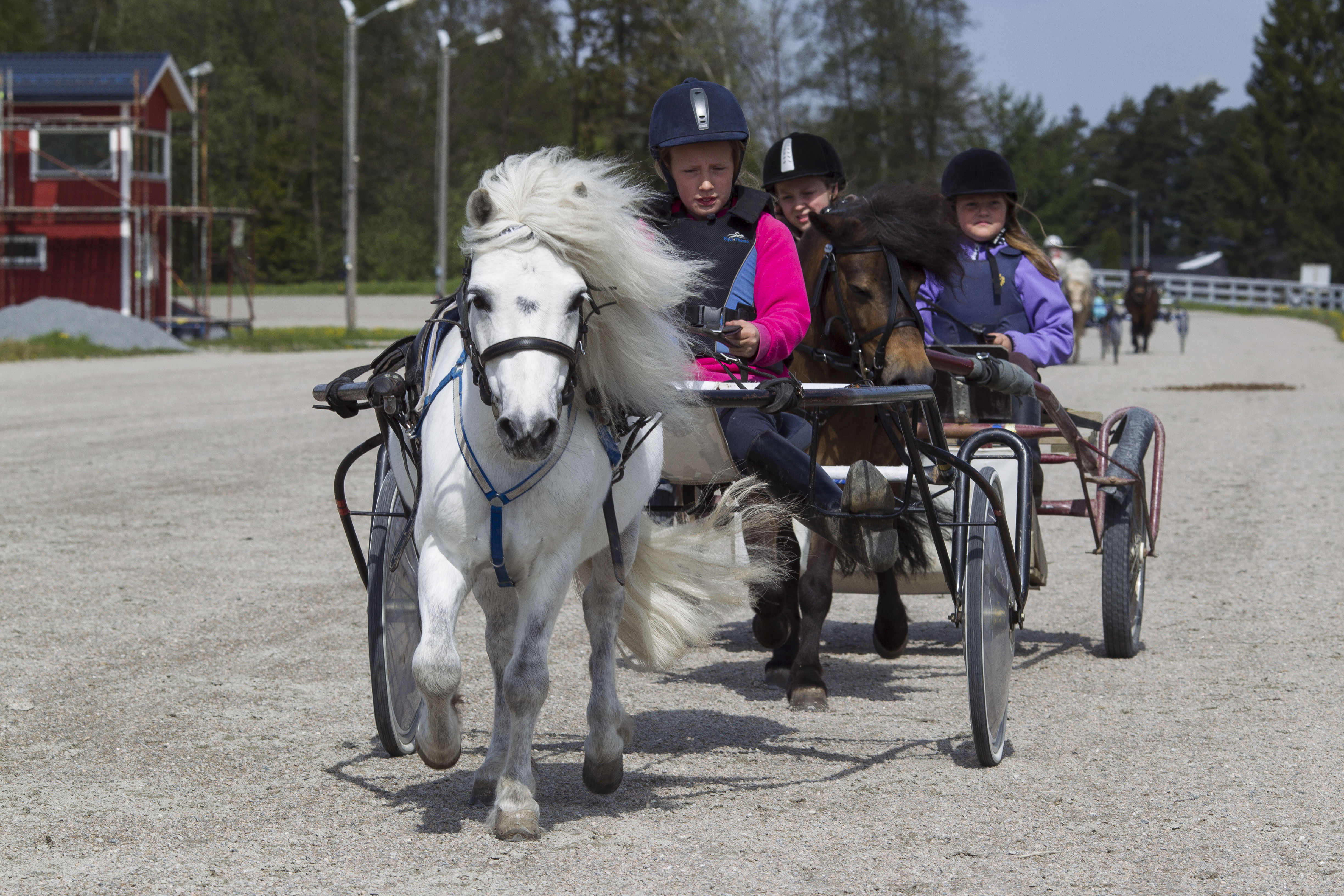 Illustrasjonsfoto. Foto: Hesteguiden.com