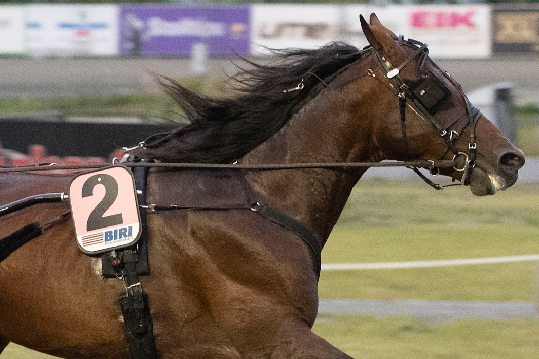 Garth Vader senket banerekorden på Biri til 10,7 24. juli. Foto: hesteguiden.com