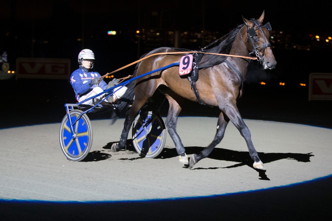 Presentasjonen av Axel Jensen-deltakerne på Bjerke er unik. Her er det Giveitgasandgo som er fanget inn av rampelyset. Foto: hesteguiden.com