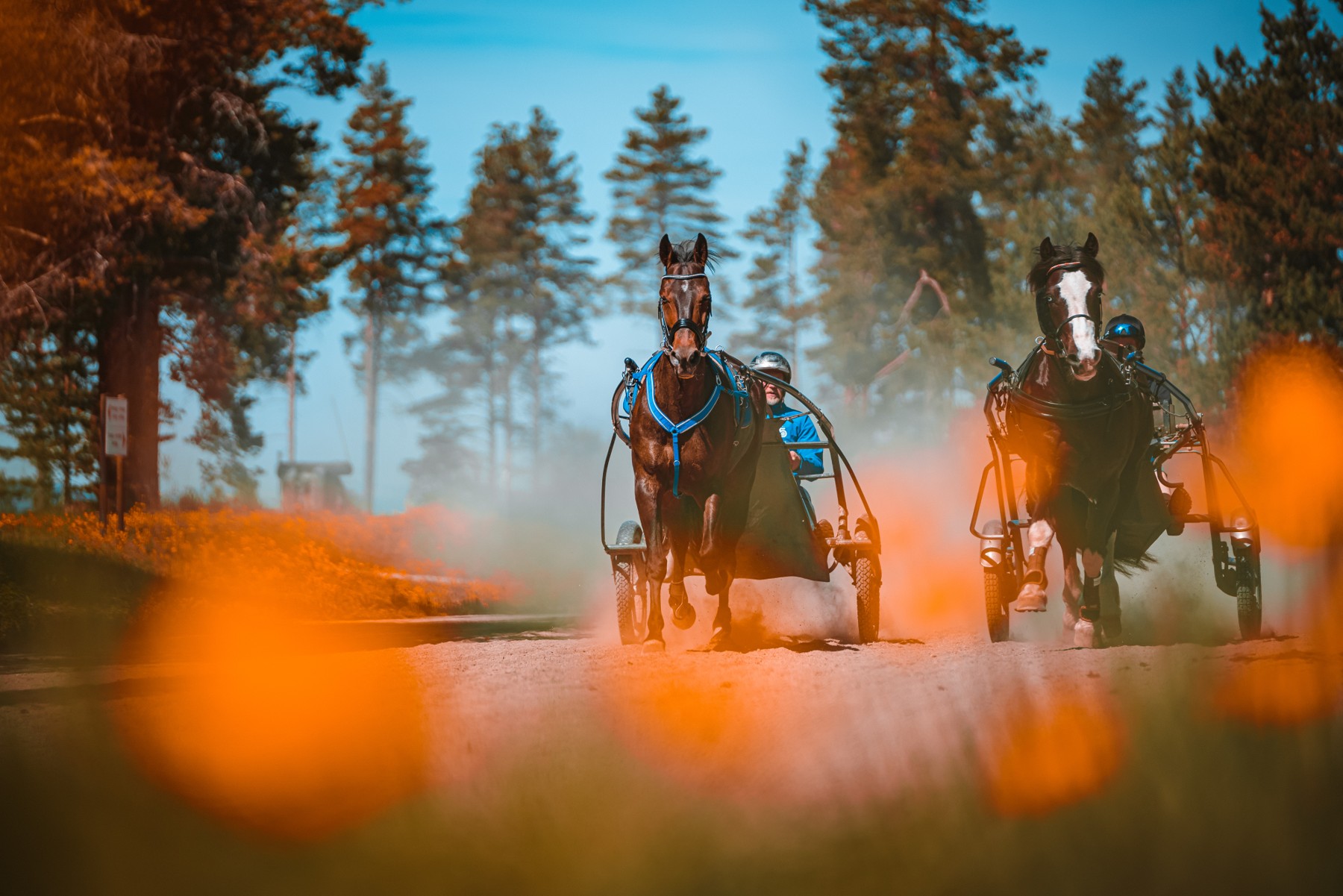 DNTs generalforsamling på Gardermoen